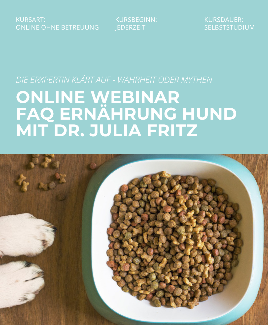 Hundetrainerausbildung Online - Pfötchenhof Pfalz