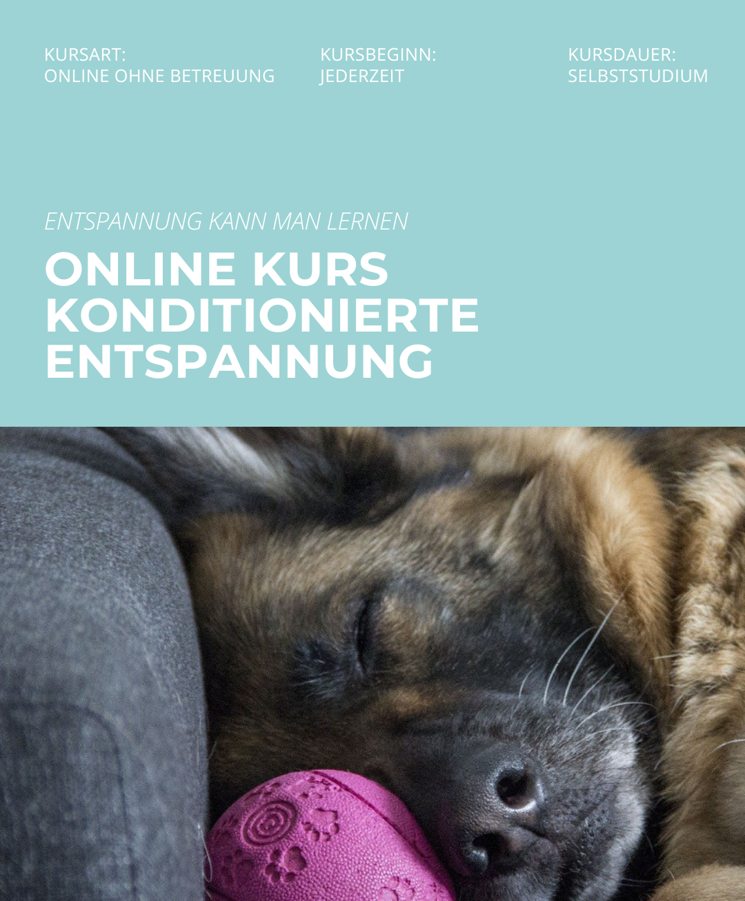 Hundetrainerausbildung Online - Pfötchenhof Pfalz