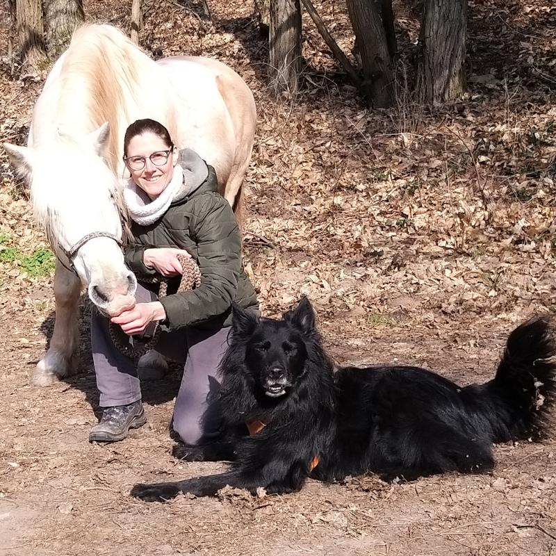 Hundetrainerausbildung Online - Pfötchenhof Pfalz