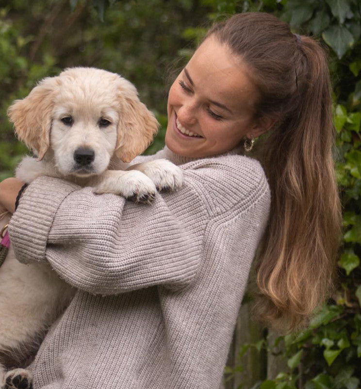 Hundetrainerausbildung Online - Pfötchenhof Pfalz