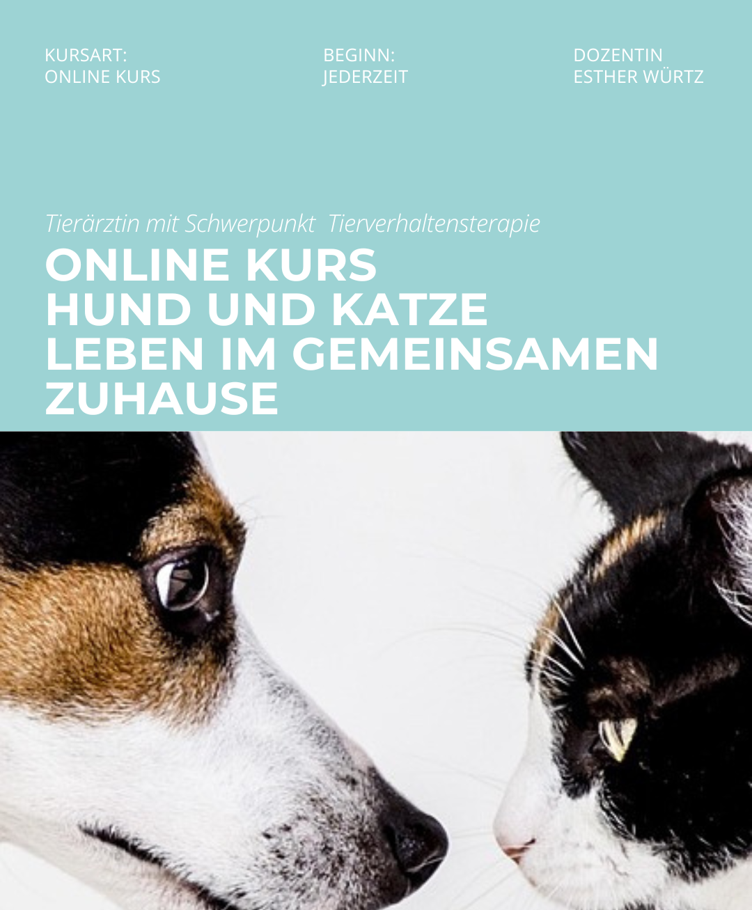 Hundetrainerausbildung Online - Pfötchenhof Pfalz