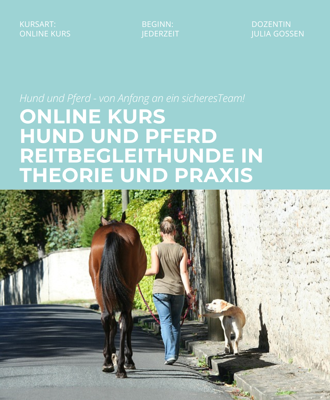 Hundetrainerausbildung Online - Pfötchenhof Pfalz