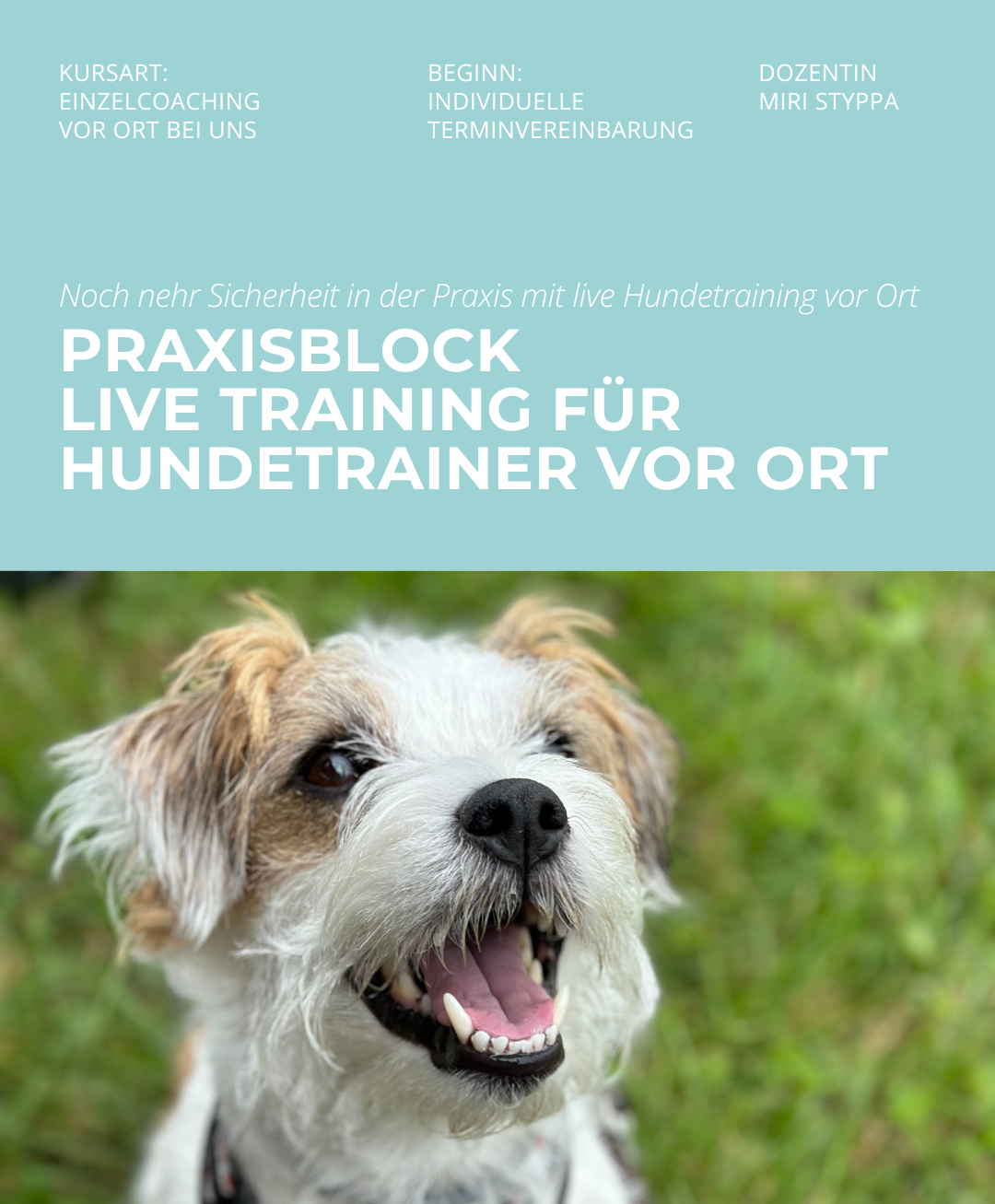 Hundetrainerausbildung Online - Pfötchenhof Pfalz