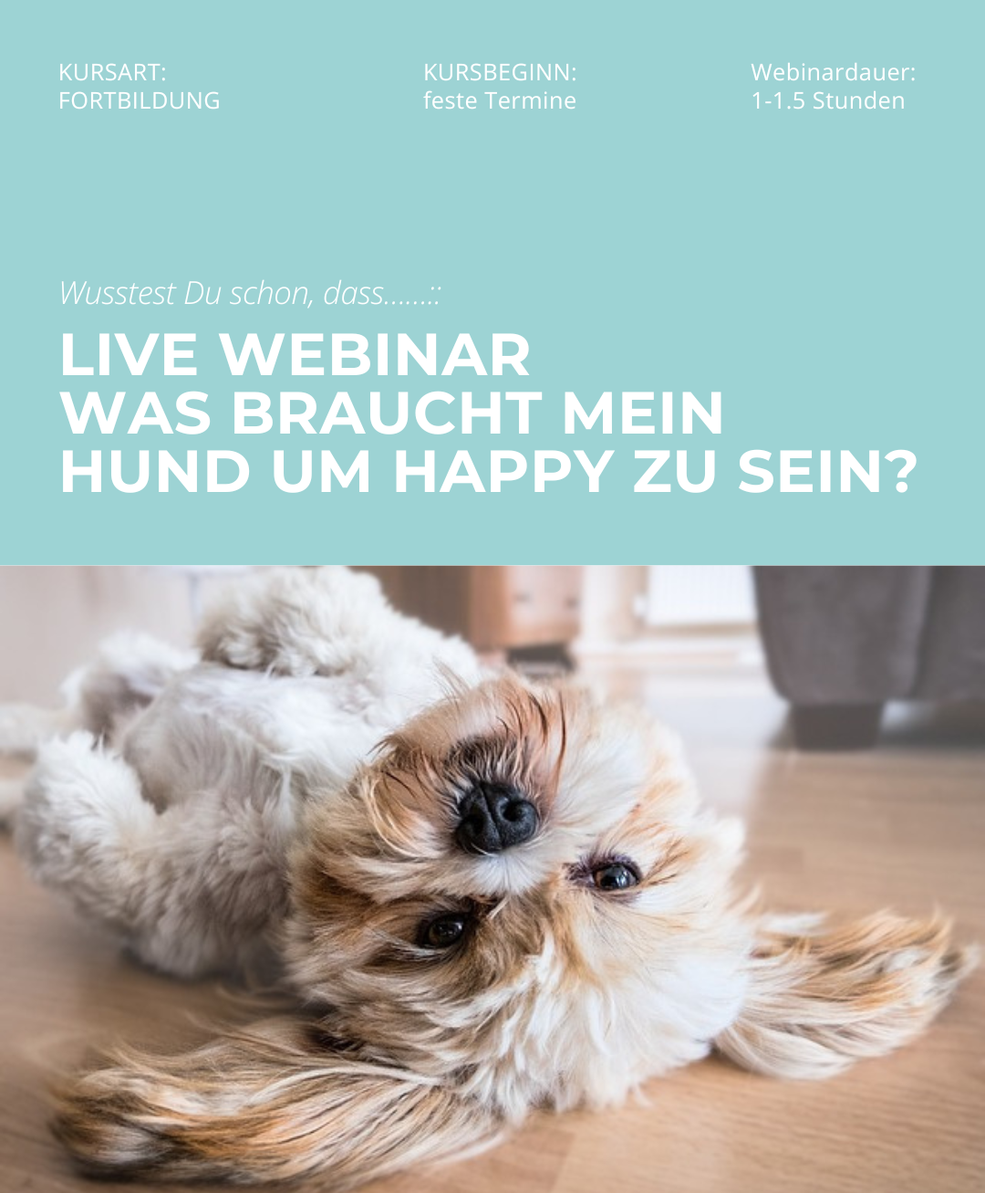 Hundetrainerausbildung Online - Pfötchenhof Pfalz