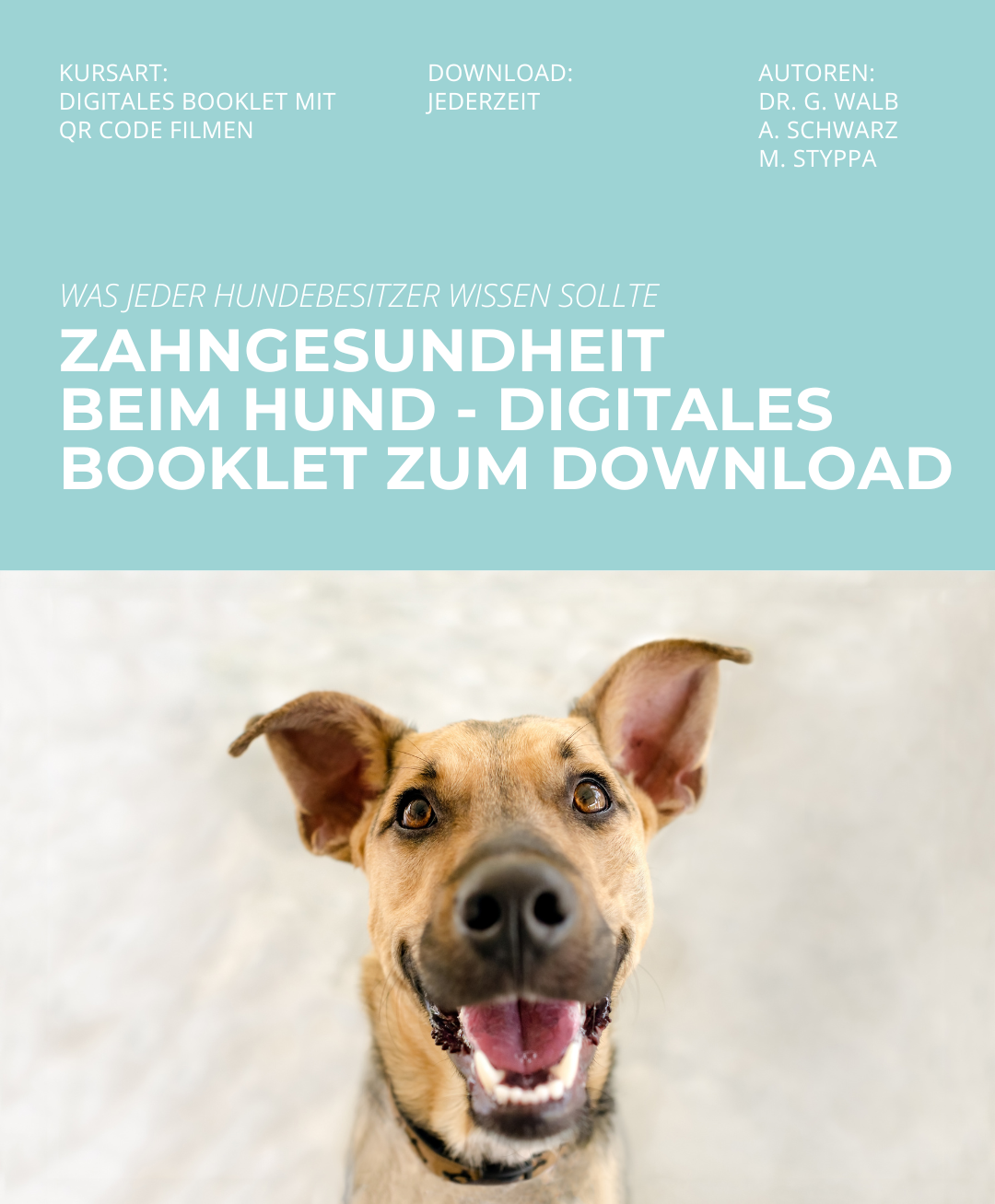 Hundetrainerausbildung Online - Pfötchenhof Pfalz