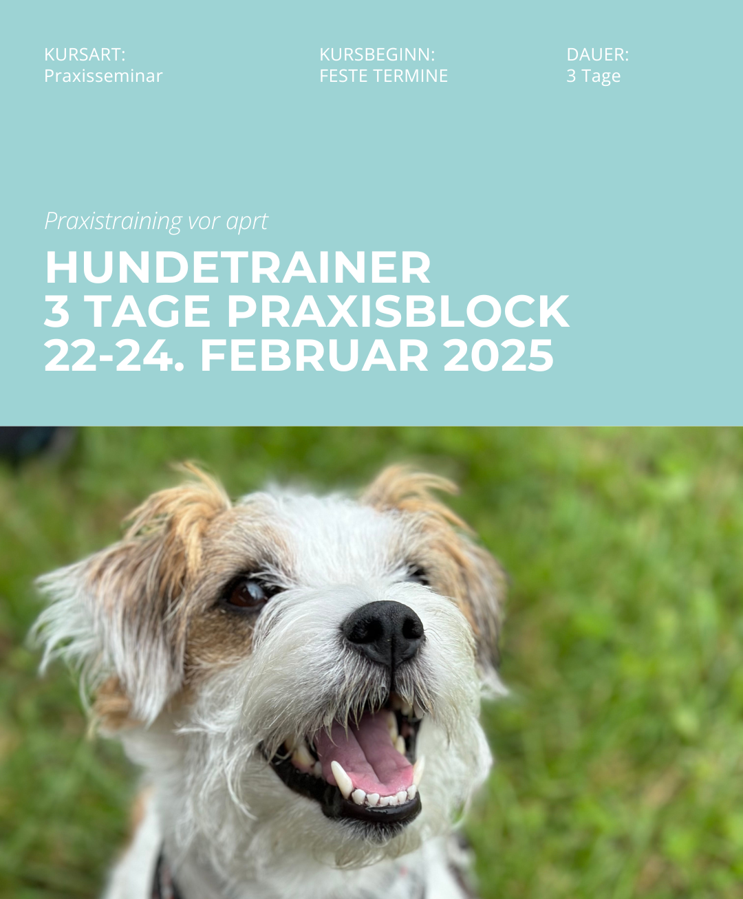 Hundetrainerausbildung Online - Pfötchenhof Pfalz